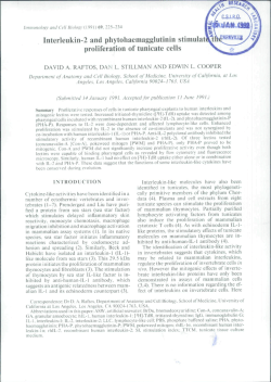 Interleukin-2 and phytohaemagglutinin stimulat