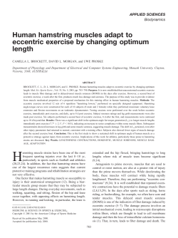 Human hamstring muscles adapt to eccentric
