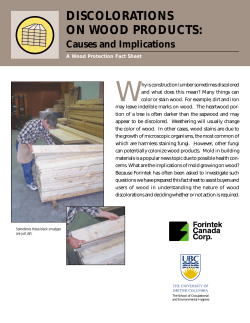 DISCOLORATIONS ON WOOD PRODUCTS: