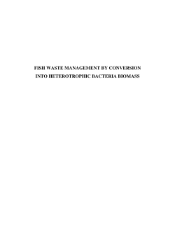 Fish waste management by conversion into heterotrophic bacteria