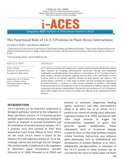 The Functional Role of 14-3-3 Proteins in Plant