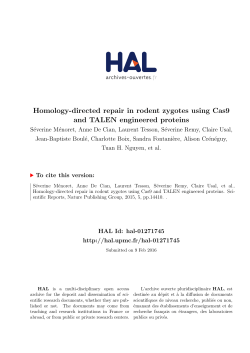 Homology-directed repair in rodent zygotes using