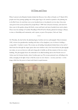 Of Time and Trees - Deveron Projects