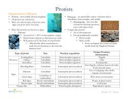 Protists