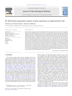 RT-qPCR based quantitative analysis of gene expression in single