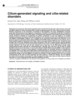 Cilium-generated signaling and cilia-related disorders