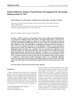 Folate Deficiency Induces Neural Stem Cell Apoptosis by Increasing