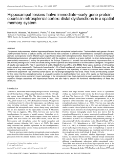 Hippocampal lesions halve immediate&ndash;early gene protein counts in