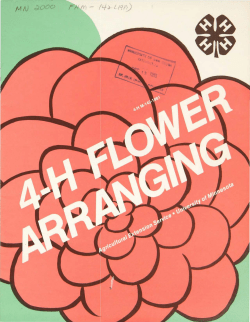 mn_2000_4HMisc_00943 - University of Minnesota