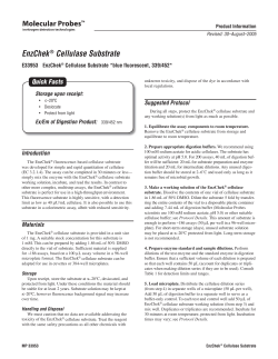 EnzChek Cellulase Substrate