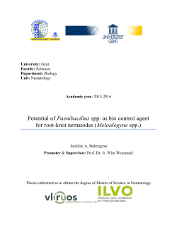 Potential of Paenibacillus spp. as bio control agent for root