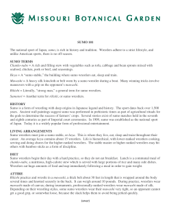 SUMO 101 The national sport of Japan, sumo, is rich in history and