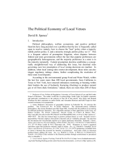 The Political Economy of Local Vetoes