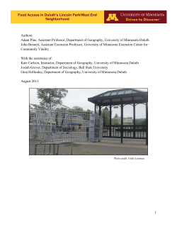 Food Access in Duluth`s Lincoln Park/West End