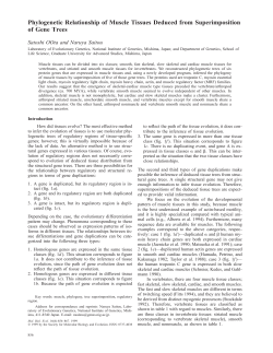 Phylogenetic Relationship of Muscle Tissues Deduced from