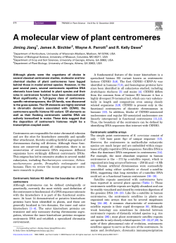A molecular view of plant centromeres