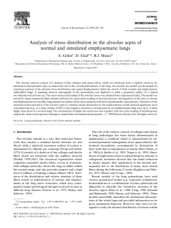 Analysis of stress distribution in the alveolar septa of normal and