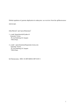 1 Global regulation of genome duplication in