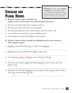 singular and plural nouns