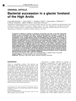 Bacterial succession in a glacier foreland of the High Arctic
