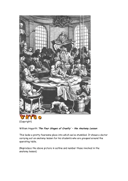 Fact File Galen and Vesalius