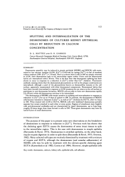 splitting and internalization of the desmosomes of cultured kidney