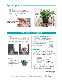 Spider plants - Alberta Advanced Education