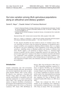 Gut size variation among Bufo spinulosus populations along an