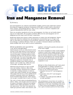 Iron And Manganese Removal - National Environmental Services