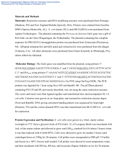 Restriction enzymes and DNA modifying enzymes were purchased