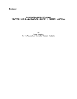 Guidelines on aquatic animal Welfare for the aquaculture industry in