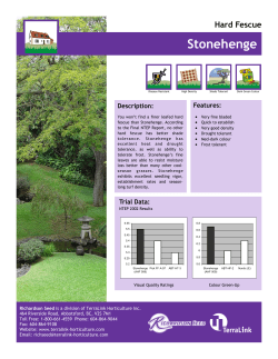 Stonehenge Fescue