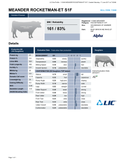 MEANDER ROCKETMAN-ET S1F 168 / 83%