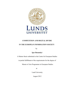COMPETITION AND DIGITAL DIVIDE IN THE EUROPEAN