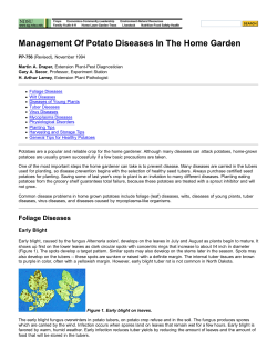 Management of Potato Diseas