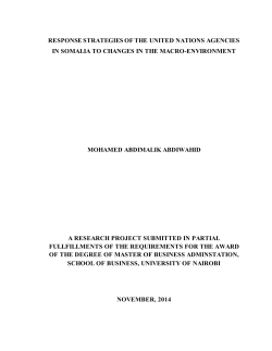 Response Strategies of the United Nations