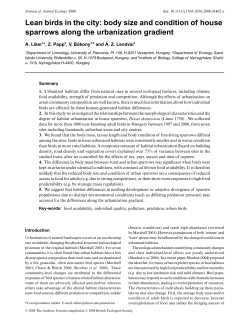 body size and condition of house sparrows along the urbanization