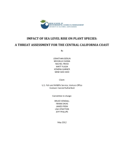 impact of sea level rise on plant species: a threat assessment for the