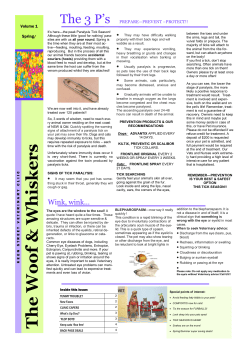 The Woof and Whiskers Spring 2014