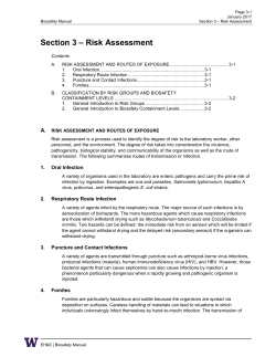 Section 3 – Risk Assessment