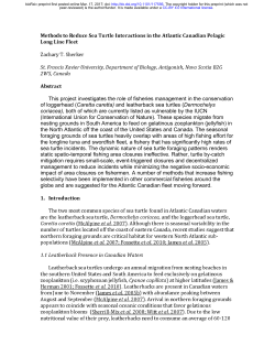 Methods to Reduce Sea Turtle Interactions in the Atlantic Canadian
