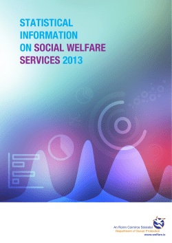 statistical information on social welfare services 2013