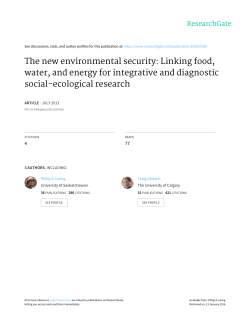 The new environmental security: Linking food, water, and energy for