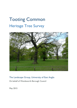Tooting Common Heritage Tree Survey