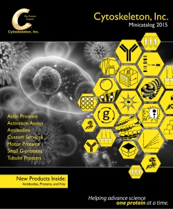 Cytoskeleton, Inc.