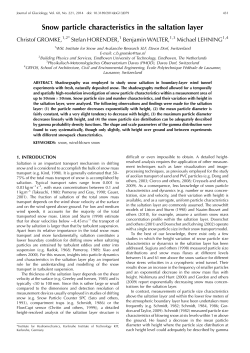 Snow particle characteristics in the saltation layer