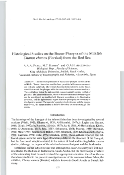 Histological Studies on the Bucco-Pharynx of the Milkfish Chanos