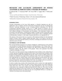 paper - CAOS International