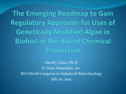 Prospects for the Commercial Use of Genetic Engineering in Biofuel