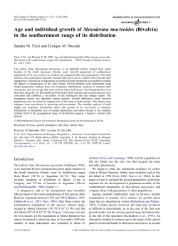 Age and individual growth of Mesodesma mactroides (Bivalvia) in
